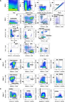 Immune Profile of the Normal Maternal-Fetal Interface in Rhesus Macaques and Its Alteration Following Zika Virus Infection